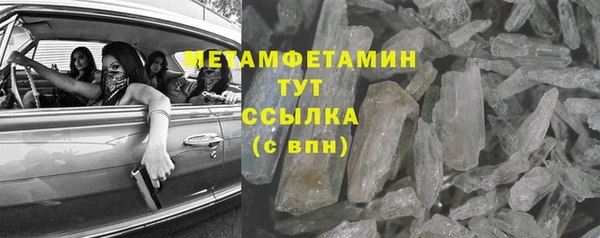 трава Няндома