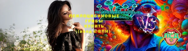 винт Алексеевка