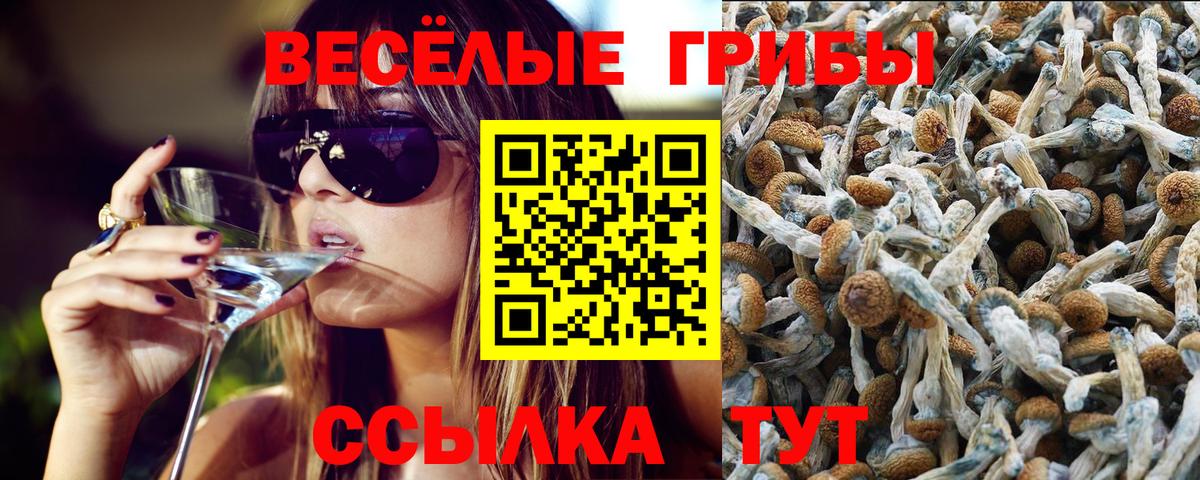 Галлюциногенные грибы прущие грибы  Псилоцибиновые грибы Magic Shrooms  Вход с VPN  Туймазы 